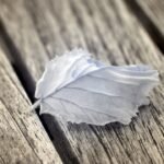 tas kertas buat hajatan