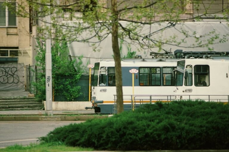 dv188 rtp